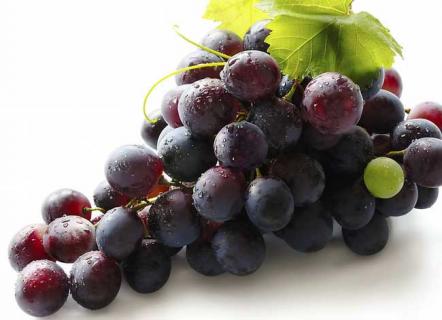 夏黑葡萄图鉴（夏黑葡萄的口感怎么样）