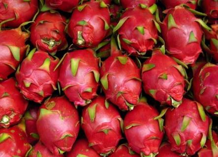 火龙果（火龙果吃了尿红色的尿怎么回事）