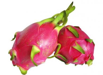 火龙果图片 火龙果图片大全大图