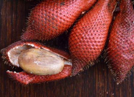 蛇皮果（蛇皮果价格多少钱一斤）