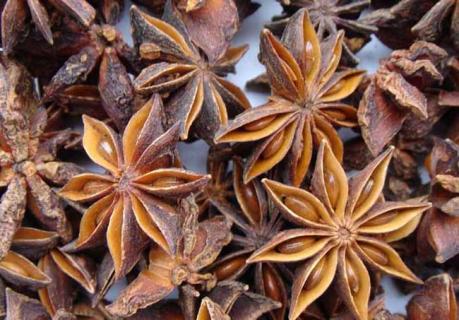大茴香（大茴香图片）