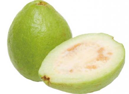 番石榴 番石榴叶的功效与作用