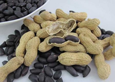 黑皮花生（黑皮花生生吃好还是熟吃好）