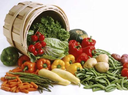 有机蔬菜 有机蔬菜认证证书