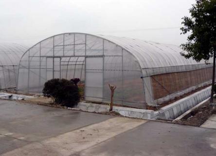 温室大棚（温室大棚造价）