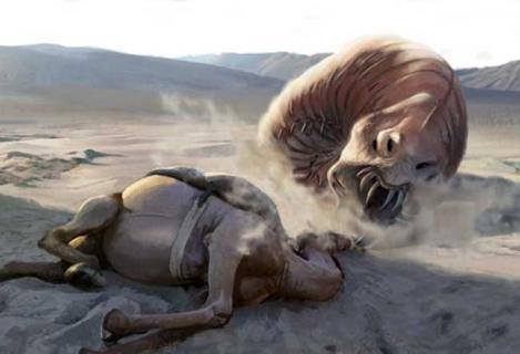 死亡之虫 沙虫内蒙古死亡之虫