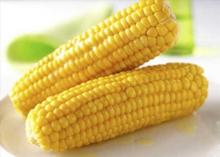 农产品 农产品怎么在网上销售