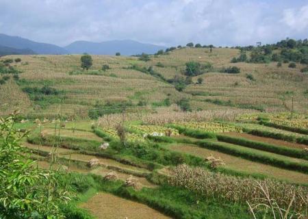 种植业（种植业管理司肥料登记查询）