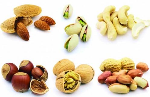 坚果