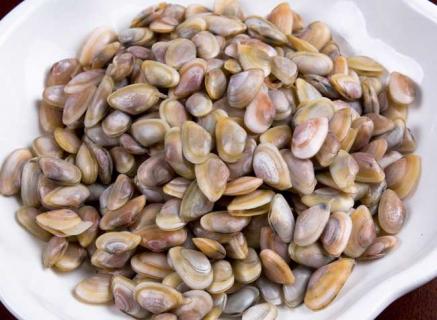 海瓜子（海瓜子的学名叫什么）