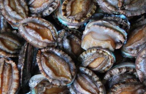 鲍鱼产地分布有哪些（鲍鱼产地分布有哪些地区）