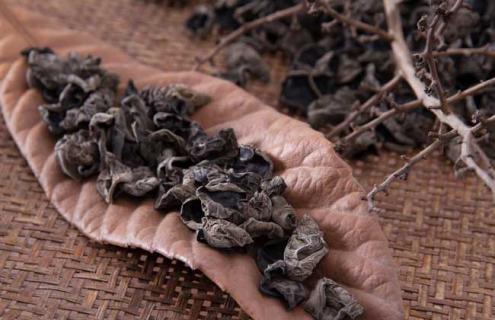 木耳的种类及图片大全 木耳的种类及图片大全图解