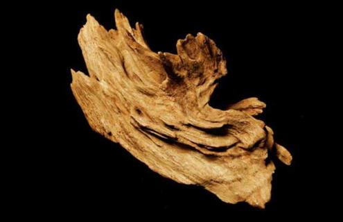 沉香种类图片大全（沉香种类及名称图片大全集）