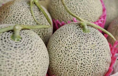 哈密瓜的种类图片（哈密瓜的种类图片介绍）