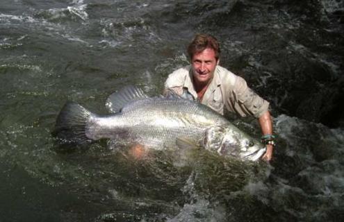 尼罗河鲈鱼图片 尼罗河鲈鱼图片欣赏