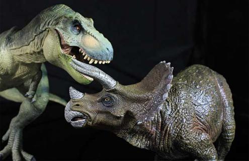 暴龙种类图片大全 暴龙种类图片大全集