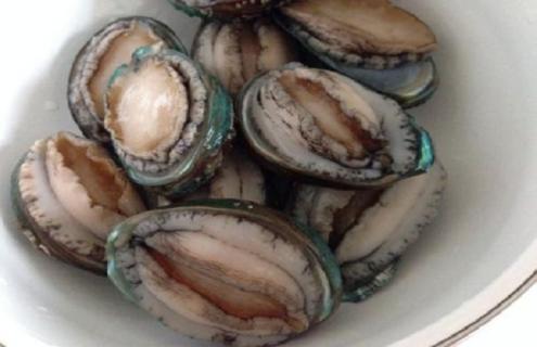 鲍鱼养殖技术（鲍鱼养殖技术视频教程）