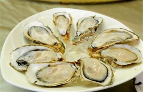 生蚝养殖方法 生蚝养殖方法大盘点