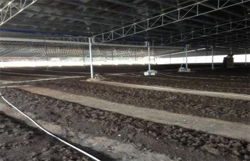 蚯蚓养殖常见的几种模式（蚯蚓养殖实用技术）