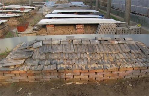 蜈蚣的养殖技术（蜈蚣的养殖技术及市场前景如何）