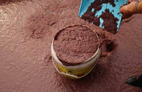 红虫该怎么养 红虫怎么养殖