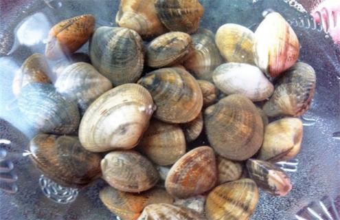 花甲的养殖方法（花甲的养殖方法和技术）