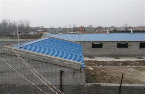 养殖鹌鹑需要准备什么 养殖鹌鹑需要准备什么材料