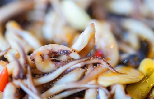 鱿鱼可以人工养殖吗（鱿鱼可以人工养殖吗为什么）