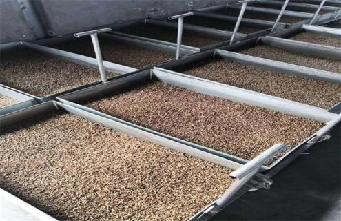 黑水虻养殖技术 黑水虻养殖技术联系电话