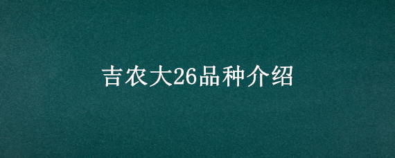 吉农大26品种介绍 吉农大26号