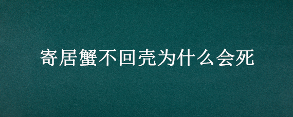 寄居蟹不回壳为什么会死（寄居蟹不回壳为什么会死亡）