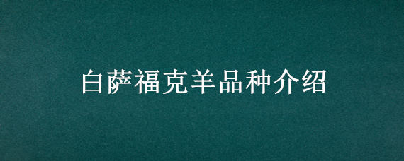 白萨福克羊品种介绍（白头萨福克羊）