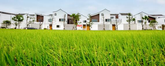 数字农业什么意思（数字农业属于什么行业）