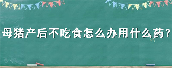母猪产后不吃食怎么办用什么药 母猪产后不吃食怎么办用什么药最好