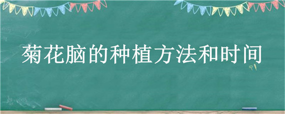 菊花脑的种植方法和时间（菊花脑怎么种植和施肥）