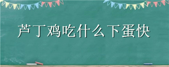 芦丁鸡吃什么下蛋快（芦丁鸡吃什么下蛋快?）