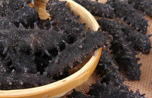 海参的市场价格（海参的市场价格走势）