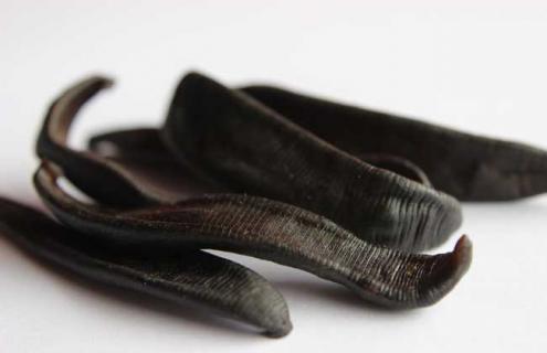 水蛭养殖技术视频 水蛭养殖技术视频大全观后感300字