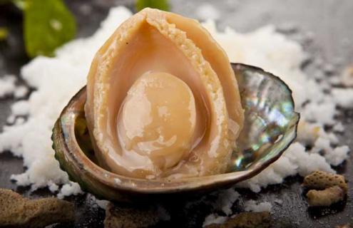 鲍鱼的养殖前景 鲍鱼养殖现状