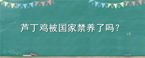 芦丁鸡被国家禁养了吗（芦丁鸡受保护吗）