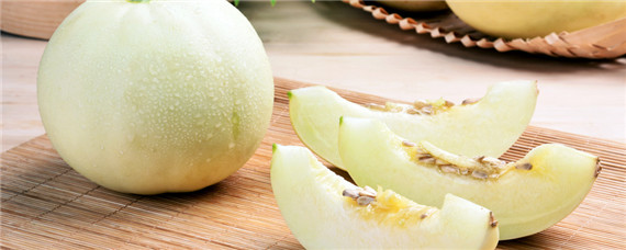 春季露地甜瓜种植时间和技术（春季露地甜瓜种植时间和技术视频）