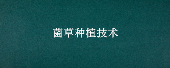 菌草种植技术（菌草种植技术林占熺）