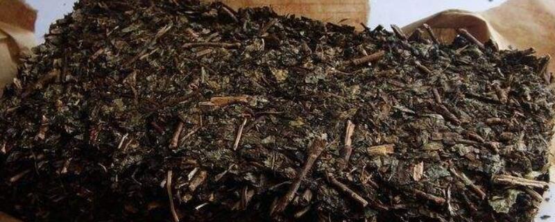 中国黑茶产地（中国黑茶产地在哪里）