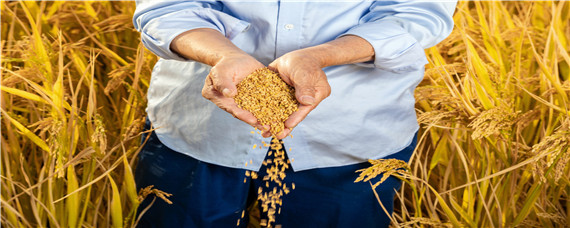 新型职业农民的特征（新型职业农民的特征不包括）