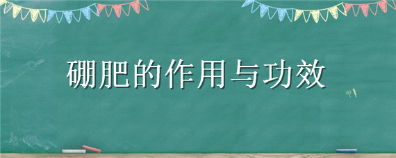 硼肥的作用与功效 速溶硼肥的作用与功效