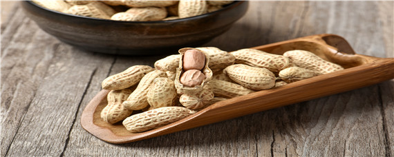 怎样种植花生（怎样种植花生视频教程）