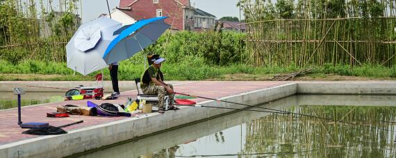 鱼塘死鱼用什么消毒（鱼塘死鱼用什么消毒杀菌）