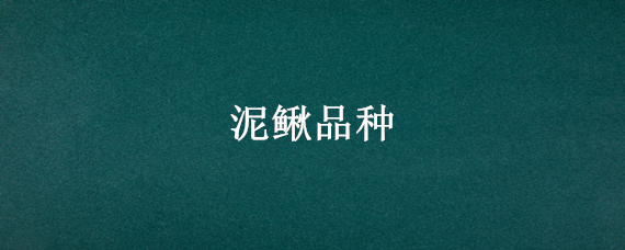泥鳅品种（泥鳅品种有哪些）