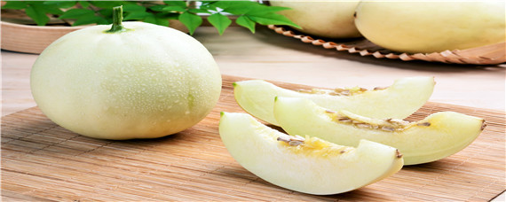 甜瓜用什么肥料更甜（甜瓜用什么肥料最好）