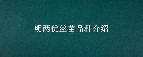 明两优丝苗品种介绍（明两优6号品种审定情况）